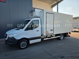 MERCEDES-BENZ Sprinter 516 / Frigo / Thermo King Cool/Wenig Km