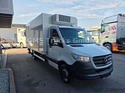 MERCEDES-BENZ Sprinter 516 / Frigo / Thermo King Cool/Wenig Km