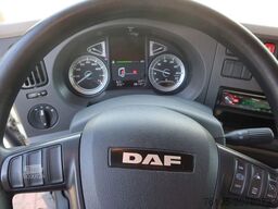 DAF LF 210 FA Bakwagen + Dhollandia 2000 kg klep ex...