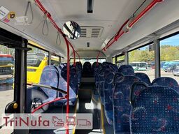 MAN A20 | Klima | Retarder | 498.044 KM |