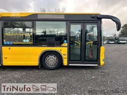 SCANIA Citywide LF, 2x | Klima | Euro 6 | 1. Hand |