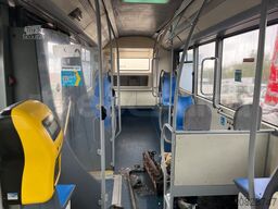 BredaMenarinibus Vivacity