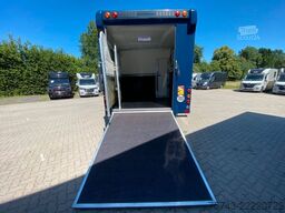  ANKA  3 Pferd3,5t  Pferdeanh. Wohn. Dusche