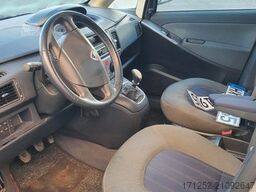 LANCIA MUSA Musa Elefantino