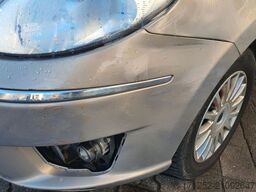 LANCIA MUSA Musa Elefantino