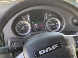DAF DAF XF 480   / SC