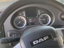 DAF DAF XF 480   / SC