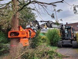 Westtech CS610 Compact / Greifersäge / Fällkopf