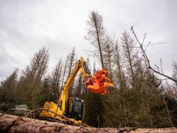 Westtech Woodcracker C350 Fällgreifer Baumschere