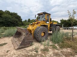 Hanomag 55D