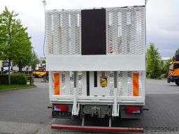 MAN MAN TGS 35.360 8×2 / HDS FASSI F165A.2.2