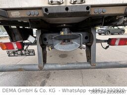 MAN TGM 18.290*Schalt*Thermoking*Klima*AHK*TÜV*