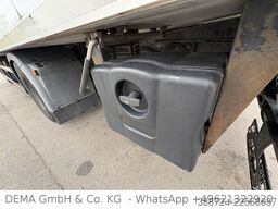MAN TGM 18.290*Schalt*Thermoking*Klima*AHK*TÜV*