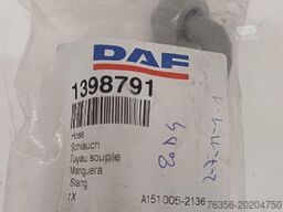 Daf Remslang daf