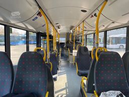 Solaris Urbino