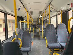 Solaris Urbino