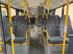Solaris Urbino