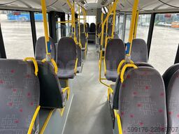 Solaris Urbino