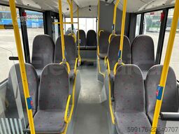 Solaris Urbino