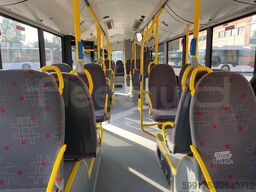 Solaris Urbino