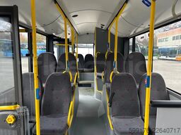 Solaris Urbino