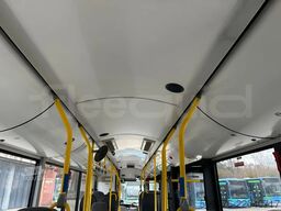 Solaris Urbino