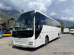 Man Lion's Coach