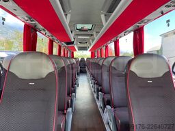 Man Lion's Coach