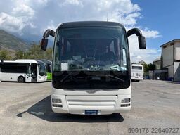 Man Lion's Coach