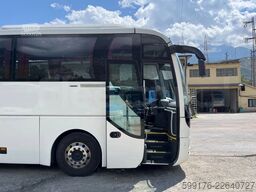 Man Lion's Coach