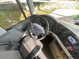 Man Lion's Coach