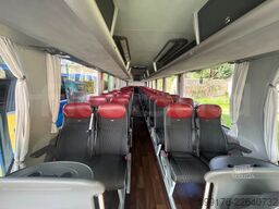 Man Lion's Coach