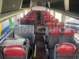 Man Lion's Coach