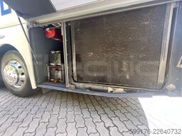Man Lion's Coach