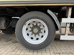 Burg 2-Axle Flowers/Blumen/Bloemen Heater, Webasto, ...