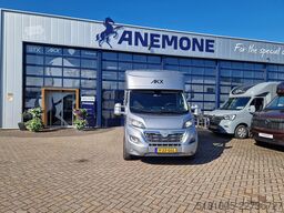 Opel Movano AKX S3 paardenwagen hengsten uitvoering ...