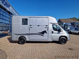Opel Movano AKX S3 paardenwagen hengsten uitvoering ...