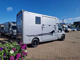 Opel Movano AKX S3 paardenwagen hengsten uitvoering ...