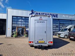 Opel Movano AKX S3 paardenwagen hengsten uitvoering ...