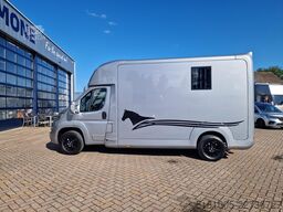 Opel Movano AKX S3 paardenwagen hengsten uitvoering ...