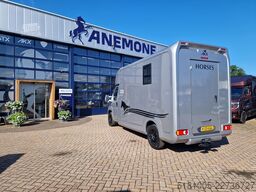 Opel Movano AKX S3 paardenwagen hengsten uitvoering ...