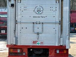 MERCEDES-BENZ 817L 4x2