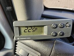 MERCEDES-BENZ Sprinter 313 CDI -32°C 230V THERMO KING 1.HAND