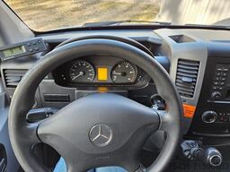 MERCEDES-BENZ Sprinter 313 CDI -32°C 230V THERMO KING 1.HAND