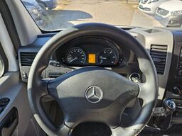 MERCEDES-BENZ Sprinter 316 CDI THERMO KING V300 0°FRISCHDIENST