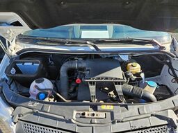 MERCEDES-BENZ Sprinter 316 CDI THERMO KING V300 0°FRISCHDIENST