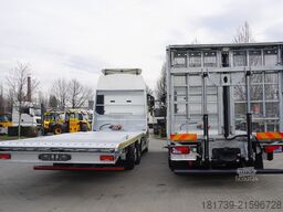 MAN TGX 26.470 tow truck / NEW galvanized