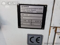 Road Birds Road Birds Road Birds