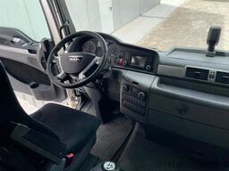MAN TGX