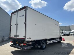 DAF CF 260 FA / Carrier Koeler - 30 gr / Chereau Fr...